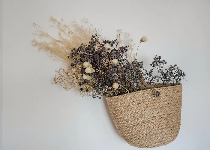 Casa Mateus 度假居 *